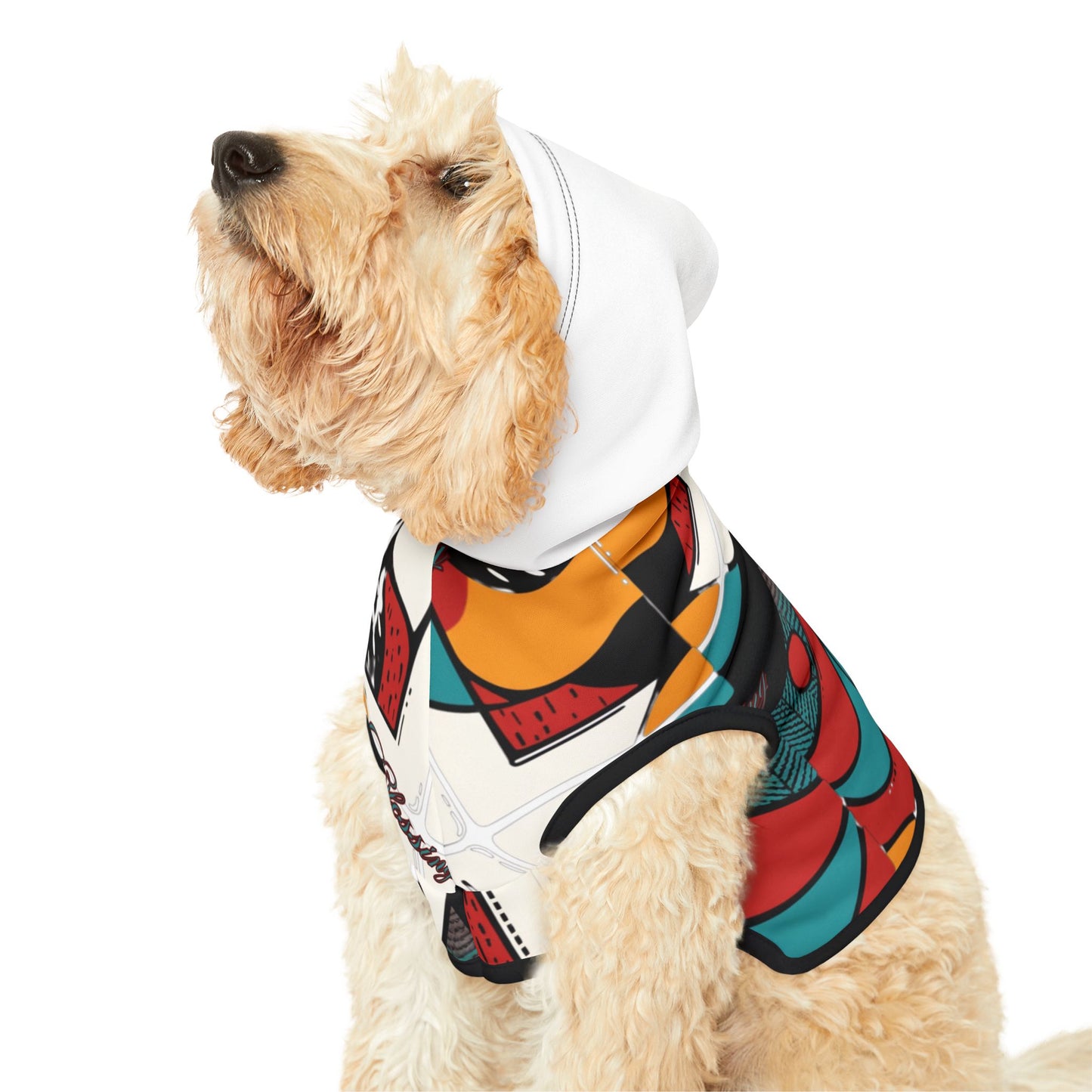 Blessing Pet Hoodie
